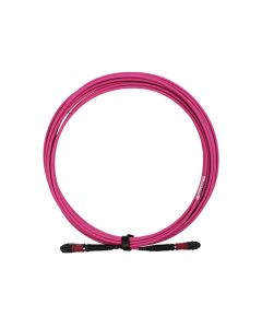 MTP12F/F OM4 LowLoss Pol A 5-50m