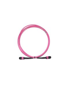 MTP12F/F OM4 LowLoss Pol A 5-50m